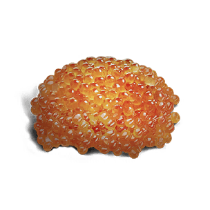 Roe - Food in Once Human