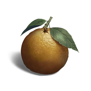 Orange - Food in Once Human