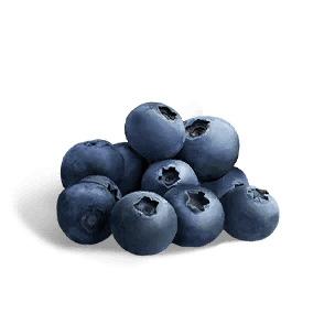 Blueberry - Food in Once Human