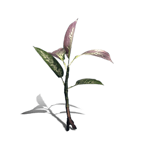 Sunny Ginger - Food in Once Human