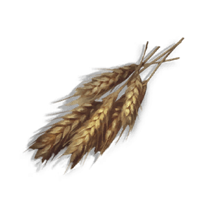 Deviated Wheat - Food in Once Human