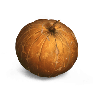 Deviated Pumpkin - Food in Once Human