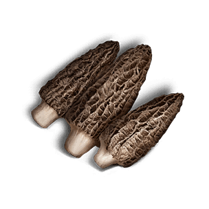 Deviated Morel - Food in Once Human