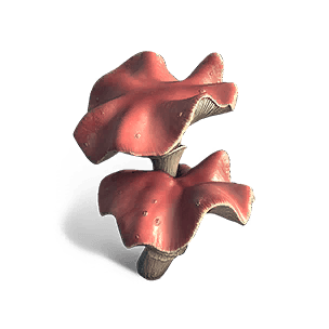 Deviated Snow Fungus - Food in Once Human