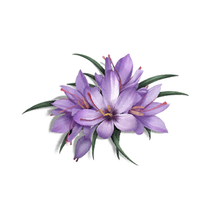 Deviated Saffron - Food in Once Human