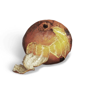 Roasted Orange crafting recipe in Once Human