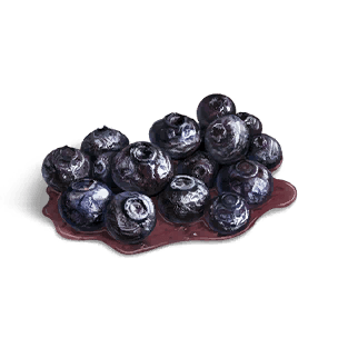Roasted Blueberry crafting recipe in Once Human