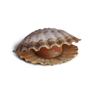 Shellfish Meat crafting recipe in Once Human