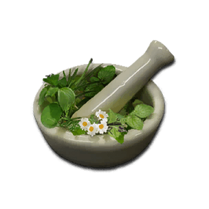 Healing Tisane - Consumables in Once Human