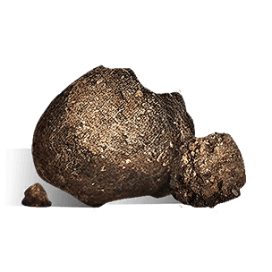 Bait with Mixed Spices crafting recipe in Once Human