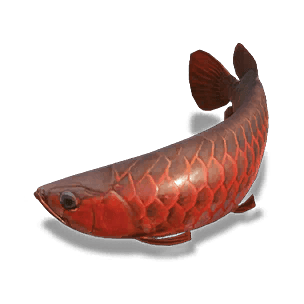 Arowana - Large Fish in Once Human