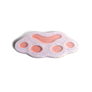 Cat Paw Carpet - Facilities in Once Human