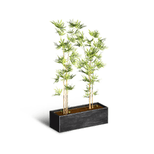 Bonsai Bamboo - Facilities in Once Human