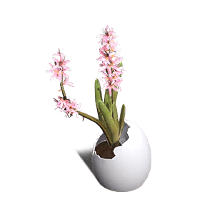 Pink Hyacinth - Facilities in Once Human