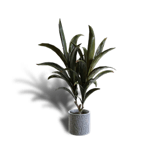 Green Cordyline Potted Plant - Facility in Once Human