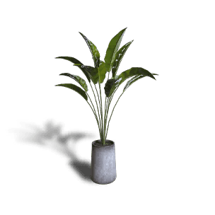 Bird of Paradise Potted Plant - Facilities in Once Human