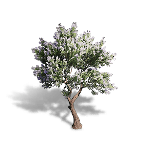 Crape Myrtle Tree - Facilities in Once Human