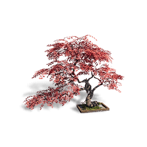 Maple Tree: Sunset - Facilities in Once Human