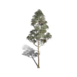 Red Pine 4 - Facilities in Once Human