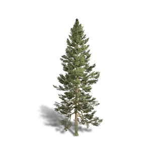 Fir 1 - Facilities in Once Human