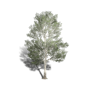 Sycamore 1 - Facilities in Once Human