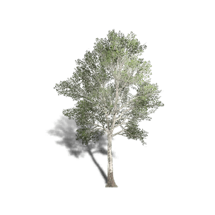 Sycamore 2 - Facilities in Once Human