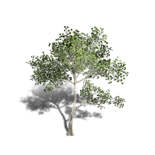 Sycamore 4 - Facilities in Once Human