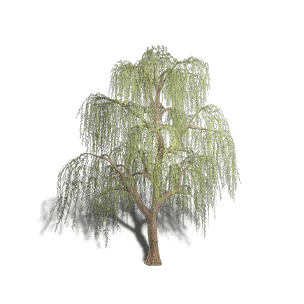 Willow 1 - Facilities in Once Human