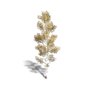 Birch 4 - Facilities in Once Human