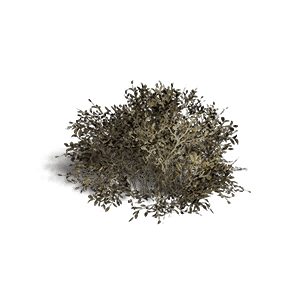 Shrub 2 - Facilities in Once Human