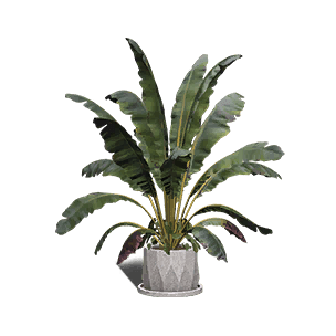 Broadleaf Plantain crafting recipe in Once Human