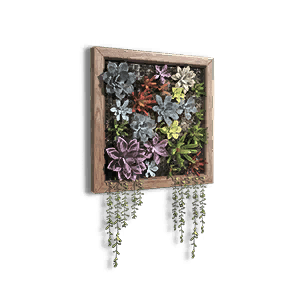 Succulent Wall Garden crafting recipe in Once Human