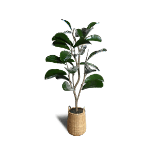 Fiddle-Leaf Fig Planter crafting recipe in Once Human