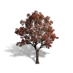 Red Leaf Sapium crafting recipe in Once Human