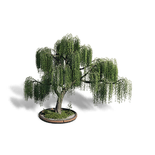 Weeping Willow - Green Cascade crafting recipe in Once Human