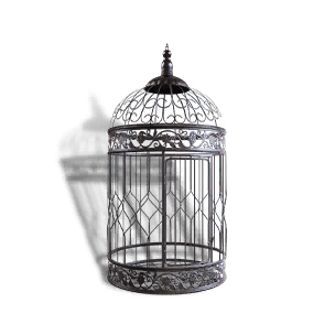Exquisite Iron Cage crafting recipe in Once Human