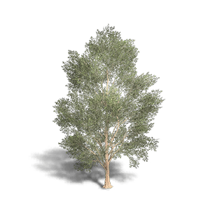 Beech 2 crafting recipe in Once Human