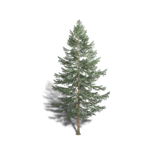 Spruce 3 crafting recipe in Once Human