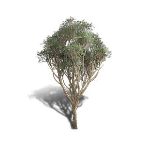 Red Pine 3 crafting recipe in Once Human