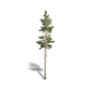 Fir 2 crafting recipe in Once Human