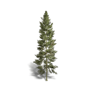 Fir 3 crafting recipe in Once Human