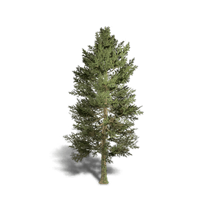 Fir 5 crafting recipe in Once Human