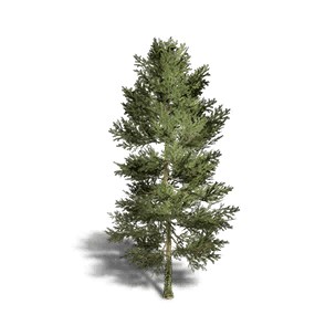 Fir 6 crafting recipe in Once Human