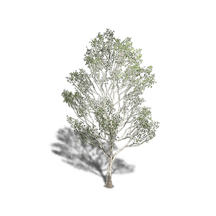 Sycamore 3 crafting recipe in Once Human