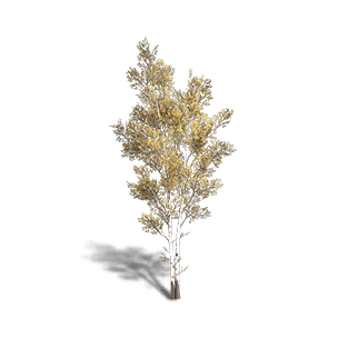 Birch 1 crafting recipe in Once Human