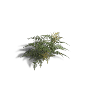 Fern 3 crafting recipe in Once Human