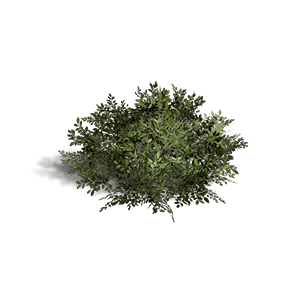 Shrub 1 crafting recipe in Once Human