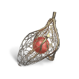 Harveseed Crafting Deviation in Once Human