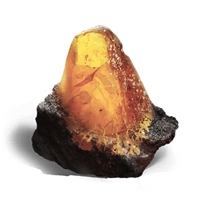 Source of Ravenous Hunter - Mission Item in Once Human