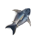 Tuna Skin - Materials in Once Human